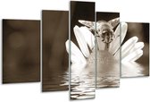 Glasschilderij Bloem - Sepia - 170x100cm 5Luik - Foto Op Glas - Geen Acrylglas Schilderij - 6000+ Glasschilderijen Collectie - Wanddecoratie