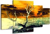 GroepArt - Schilderij -  Natuur - Geel, Bruin, Wit - 160x90cm 4Luik - Schilderij Op Canvas - Foto Op Canvas