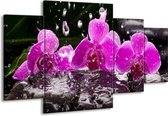 GroepArt - Schilderij -  Orchidee - Zwart, Roze, Grijs - 160x90cm 4Luik - Schilderij Op Canvas - Foto Op Canvas