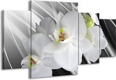 GroepArt - Schilderij -  Orchidee - Wit, Grijs, Groen - 160x90cm 4Luik - Schilderij Op Canvas - Foto Op Canvas