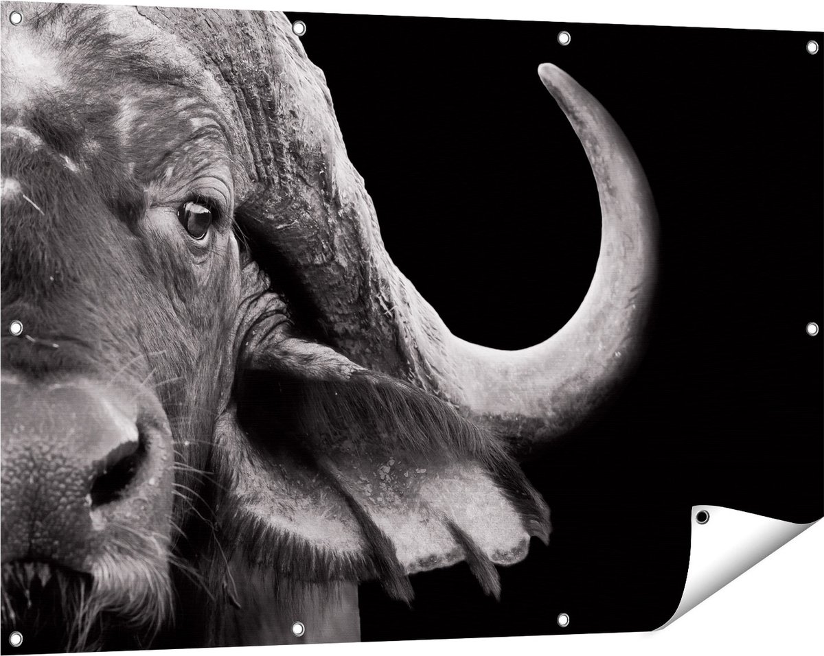 Gards Tuinposter Buffel - Buffelkop - Zwart Wit - 120x80 cm - Tuindoek - Tuindecoratie - Wanddecoratie buiten - Tuinschilderij Multikleur