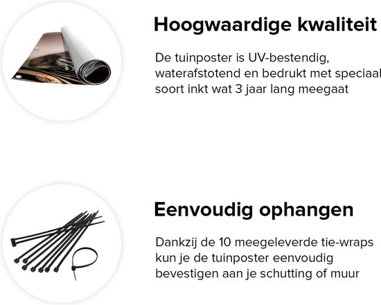 Affiche de jardin du Gards Deux Zèbres câlins - 80x80 cm - Toile de jardin - Décoration de jardin - Décoration murale extérieure - Tableau de jardin