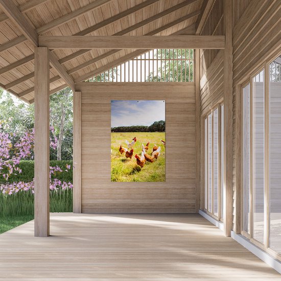 Gars Affiche jardin Poules dans l'herbe - 100x150 cm - Toile jardin - Décoration de jardin - Décoration murale extérieur - Tableau jardin