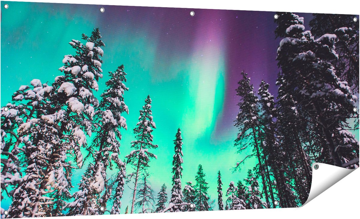 Gards Tuinposter Noorderlicht in de Bossen van Noorwegen - 160x80 cm - Tuindoek - Tuindecoratie - Wanddecoratie buiten - Tuinschilderij Multikleur