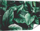 Gards Tuinposter Tropische Groene Bladeren - 120x80 cm - Tuindoek - Tuindecoratie - Wanddecoratie buiten - Tuinschilderij