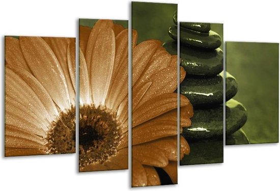 Peinture sur verre fleur | Blanc, marron, vert | 170x100cm 5 Liège | Tirage photo sur verre |  F002585