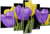 Glasschilderij Tulpen - Paars, Geel, Groen - 170x100cm 5Luik - Foto Op Glas - Geen Acrylglas Schilderij - 6000+ Glasschilderijen Collectie - Wanddecoratie