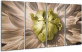 GroepArt - Glasschilderij - Bloem - Groen, Wit, Grijs - 160x80cm 4Luik - Foto Op Glas - Geen Acrylglas Schilderij - 6000+ Glasschilderijen Collectie - Wanddecoratie