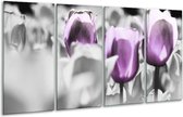 GroepArt - Glasschilderij - Tulpen - Paars, Grijs, Wit - 160x80cm 4Luik - Foto Op Glas - Geen Acrylglas Schilderij - 6000+ Glasschilderijen Collectie - Wanddecoratie