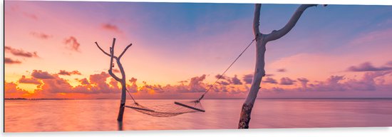 Dibond - Hangmat tussen Kale Takken in de Zee tijdens Zonsondergang - 120x40 cm Foto op Aluminium (Wanddecoratie van metaal)