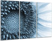 Glasschilderij Bloem - Blauw, Wit - 120x80cm 3Luik - Foto Op Glas - Geen Acrylglas Schilderij - GroepArt 6000+ Glas Art Collectie - Maatwerk Mogelijk