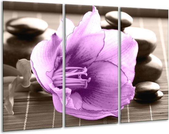 Peinture sur verre d'orchidée | Violet, gris | 120x80cm 3 Liège | Tirage photo sur verre |  F004567