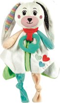 Baby Clementoni Sweet Bunny - Baby Knuffel Konijn - Extra zacht - 7cm