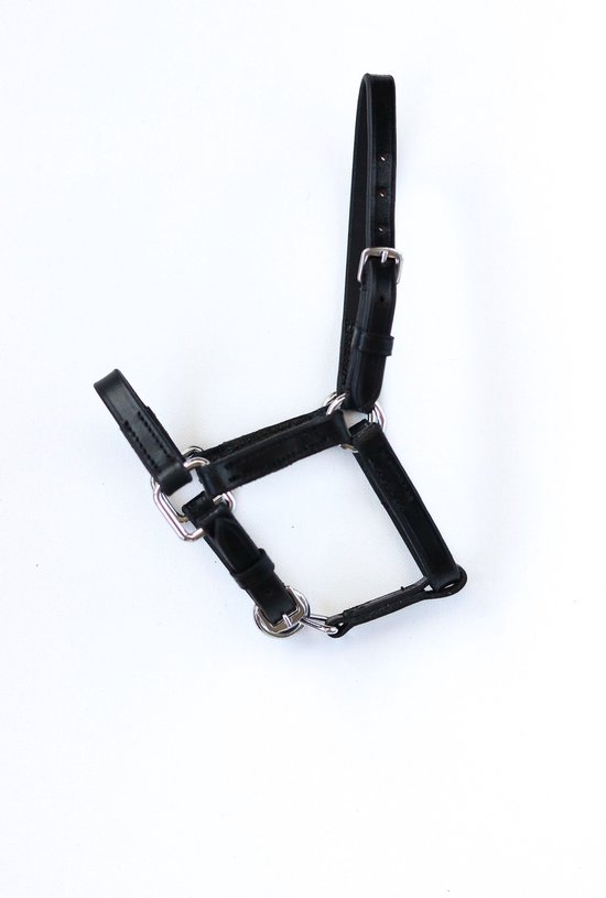 Licol poulain cuir HB - (mini)mini - noir