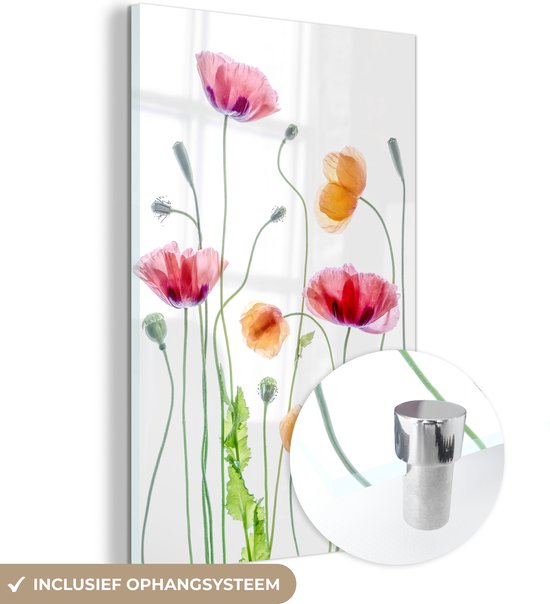 Glasschilderij bloemen - Schilderij op glas - Klaproos - Lente - Wit - Acrylglas - Wanddecoratie glas - 40x60 cm
