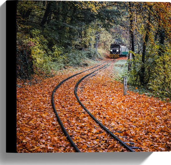 Canvas - Treinspoor met Trein door Struiken in Herfstkleurig Bos - 30x30 cm Foto op Canvas Schilderij (Wanddecoratie op Canvas)