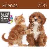 Babydieren - Friends Kalender 2020