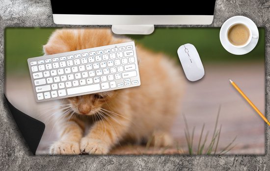 Bureau onderlegger - Kitten Spelend met Insect op Stenen Pad - 80x40 cm