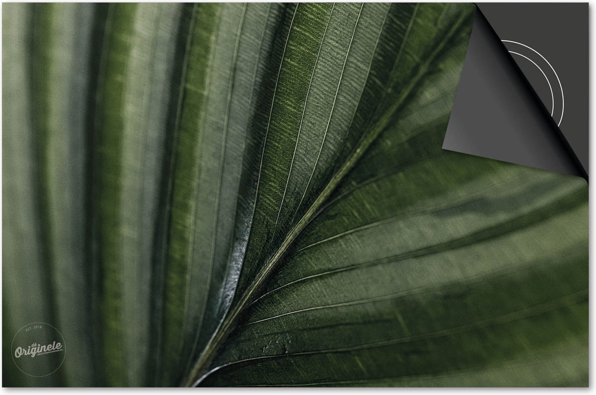 Inductie beschermer 90x52 - afdekplaat inductie mat - Dietrix Kookplaat beschermer - Base - Leaves - 11 Blad nerf