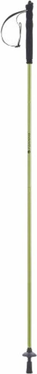 Trekking Stick Ferrino Jet 120 cm