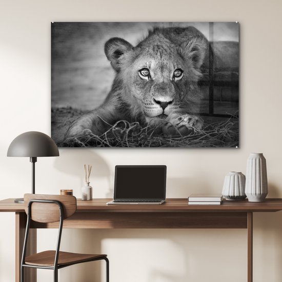 MuchoWow - Glasschilderij - Foto op glas - Wanddecoratie - Acrylglas - Wilde dieren - Leeuw - Natuur - Zwart - Wit - Woonkamer - 120x80 cm - Muurdecoratie dieren - Kamer decoratie - Schilderij glas