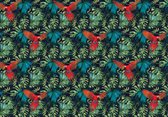 Fotobehang - Vlies Behang - Rode Jungle Papegaaien - 416 x 254 cm