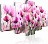 Schilderij - Geheime tuin , roze wit , bloem , 5 luik