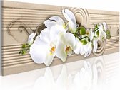 Schilderij - Woestijn bloem - Orchidee , beige wit