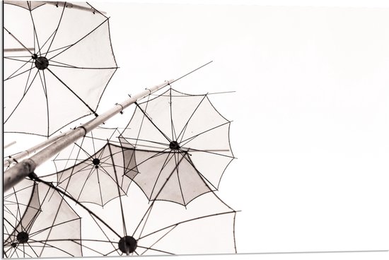 Dibond - Doorzichtige Paraplu Vormen tegen Witte Achtergrond - 90x60 cm Foto op Aluminium (Wanddecoratie van metaal)
