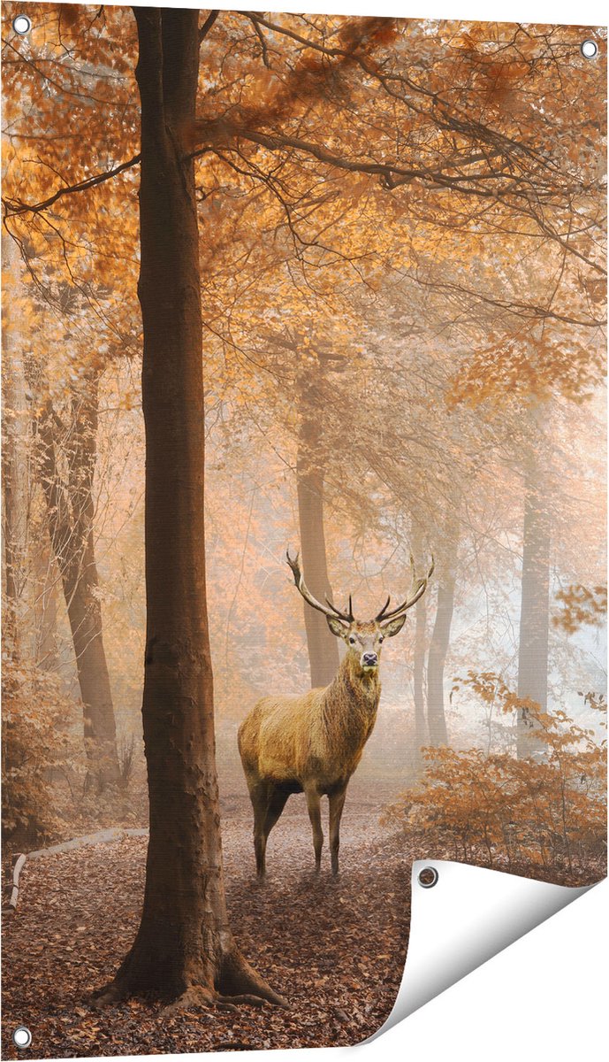 Gards Tuinposter Hert in het Bos - Herfst - 60x90 cm - Tuindoek - Tuindecoratie - Wanddecoratie buiten - Tuinschilderij Multikleur