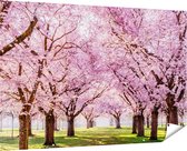 Gards Tuinposter Roze Bloesembomen Park - Bloemen - 180x120 cm - Tuindoek - Tuindecoratie - Wanddecoratie buiten - Tuinschilderij