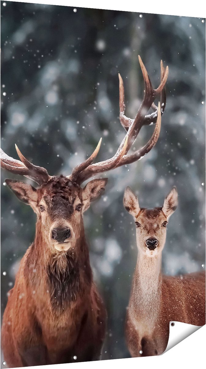 Gards Tuinposter Twee Herten met Sneeuw - 120x180 cm - Tuindoek - Tuindecoratie - Wanddecoratie buiten - Tuinschilderij Multikleur