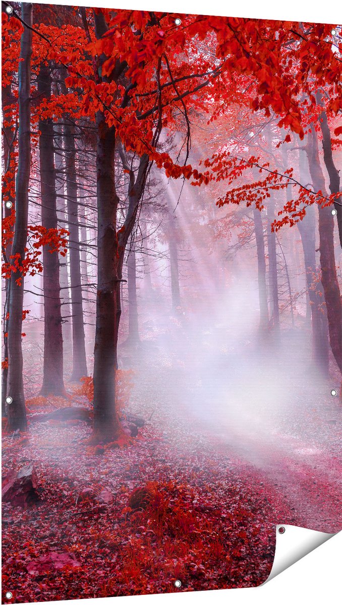 Gards Tuinposter Rood Bos met Bomen - 100x150 cm - Tuindoek - Tuindecoratie - Wanddecoratie buiten - Tuinschilderij Multikleur