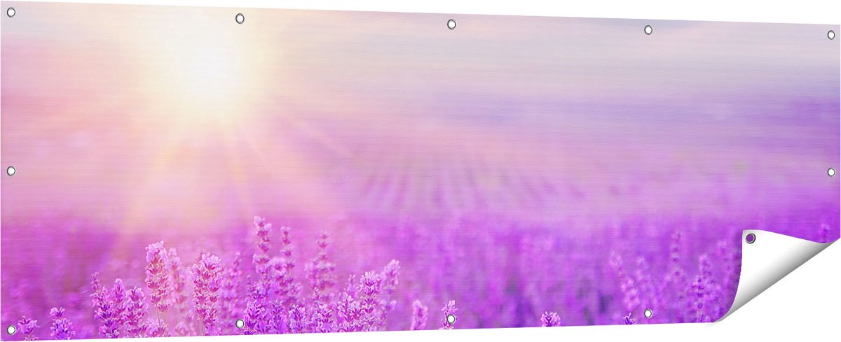 Gards Tuinposter Bloemenveld met Paarse Lavendel - 180x60 cm - Tuindoek - Tuindecoratie - Wanddecoratie buiten - Tuinschilderij Multikleur