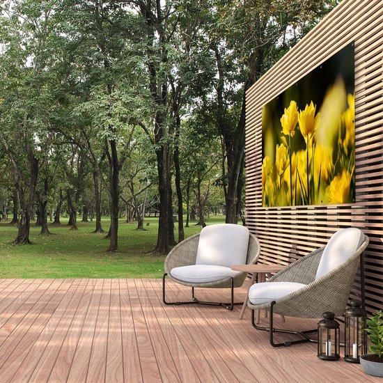 Gards Affiche jardin Tulipes jaunes - Fleurs - 200x100 cm - Toile jardin - Décoration de jardin - Décoration murale extérieur - Tableau jardin
