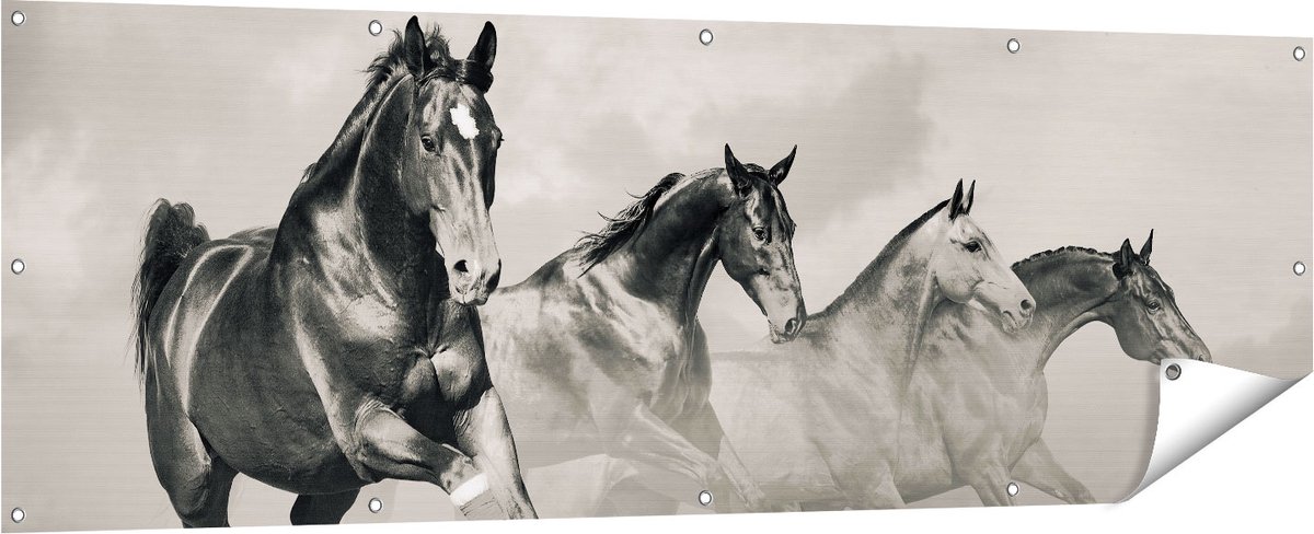 Gards Tuinposter Vier Paarden naast Elkaar - Zwart Wit - 180x60 cm - Tuindoek - Tuindecoratie - Wanddecoratie buiten - Tuinschilderij Multikleur