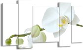 GroepArt - Schilderij - Orchidee - Wit, Groen, Geel - 120x65 5Luik - Foto Op Canvas - GroepArt 6000+ Schilderijen 0p Canvas Art Collectie - Wanddecoratie