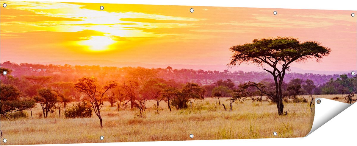 Gards Tuinposter Zonsondergang in de Savanne - 180x60 cm - Tuindoek - Tuindecoratie - Wanddecoratie buiten - Tuinschilderij Multikleur