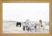 JUNIQE - Poster met houten lijst Wild and Free Horses 1 -20x30 /Ivoor