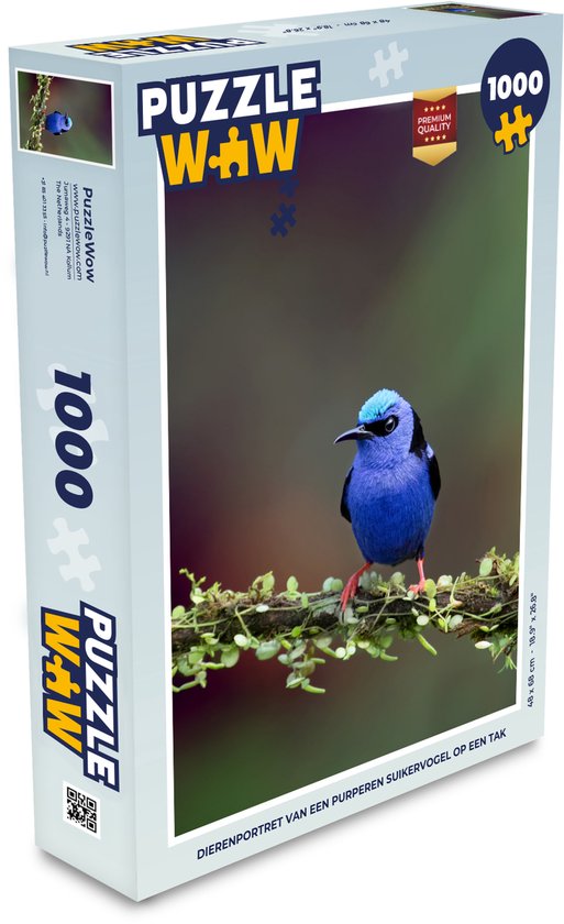 Ulmer Puzzleschmiede Puzzle Papillons Brillants 1000 Pièces Motif Papillons En Filigrane Et Colorés D'un Monde Naturel Magique Qualité Fabriquée En Allemagne
