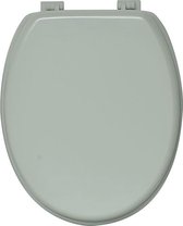 Toiletbril – Toiletzitting – Wc-bril – Licht Mintgroen – Stijlvol –  Kunststof... | bol.com