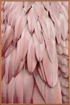 JUNIQE - Poster met kunststof lijst Pastel Feathers -40x60 /Roze