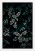 JUNIQE - Poster in houten lijst Dark Leaves 3 -20x30 /Groen & Zwart