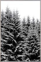 JUNIQE - Poster met kunststof lijst Besneeuwde kerstbomen -40x60