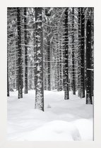 JUNIQE - Poster in houten lijst Deep Dark White Forest -30x45 /Grijs &