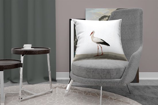 Animaux - Cigogne - Wit