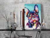 Doe-het-zelf op canvas schilderen - Bulldog Portrait-40x60