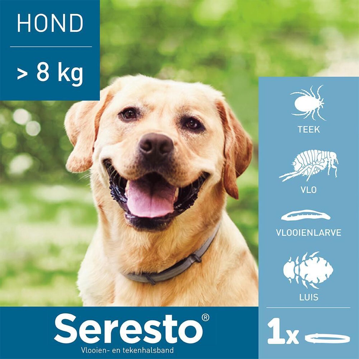 toetje niet Mislukking Seresto Vlooien En Tekenband - Grote Hond - >8 kg | bol.com