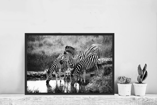 Photo dans le cadre - Cadre photo à boire des zèbres noir sans passe-partout 60x40 cm - Affiche sous cadre (Décoration murale salon / chambre)