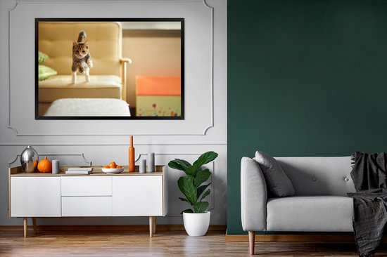 Photo encadrée - Chat sautant du canapé cadre photo noir sans passe partout 120x80 cm - Affiche encadrée (Décoration murale salon / chambre)